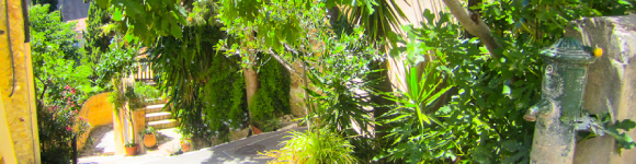 Post With Large Image